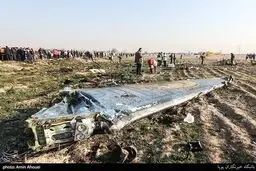 خانواده یک زوج قربانی سقوط هواپیما: فیلم عروسی آنها را دست به دست نکنید