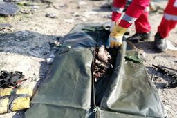 بررسی سقوط هواپیمای اوکراینی در کمیسیون عمران