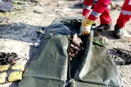 بررسی سقوط هواپیمای اوکراینی در کمیسیون عمران