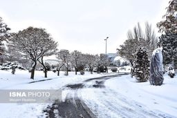 اطلاعیه هواشناسی درباره کاهش ۸ تا ۱۲ درجه‌ای دما