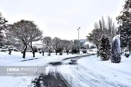 اطلاعیه هواشناسی درباره کاهش ۸ تا ۱۲ درجه‌ای دما