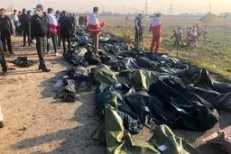 نمونه گیری DNA از ۱۴۲ خانواده جان باختگان سقوط هواپیمای اوکراینی