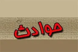 ماجرای تلخ زندگی خانواده ایرانی در کانادا/آتش زدن خانه و مرگ سه نفر