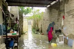 سیل‌زده‌ها را در یابید