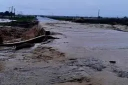 راه ارتباطی ۱۱۴ روستای کرمان قطع شد