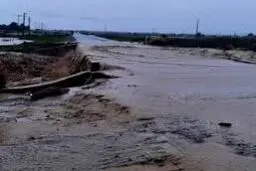 راه ارتباطی ۱۱۴ روستای کرمان قطع شد