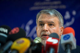 صالحی امیری: امنیت زنان در ورزشگاه را تضمین کردیم