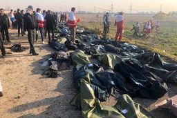 هویت همه قربانیان حادثه سقوط هواپیما شناسایی شد