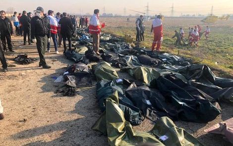 هویت همه قربانیان حادثه سقوط هواپیما شناسایی شد