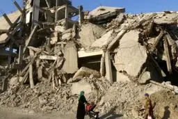 شهری که تعداد گربه‌هایش بیش از جمعیت آن است