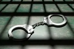 کادوی تولد دزد سابقه دار را لو داد