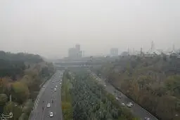 کانون بوی نامطبوع در پایتخت مشخص شد