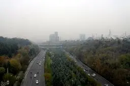 کانون بوی نامطبوع در پایتخت مشخص شد