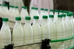 استاندارد آفلاتوکسین شیر و مواد غذایی از نظر سازمان بهداشت جهانی/چه میزان سم خطرناک است؟