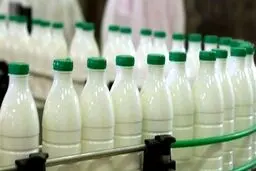 استاندارد آفلاتوکسین شیر و مواد غذایی از نظر سازمان بهداشت جهانی/چه میزان سم خطرناک است؟