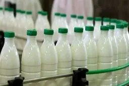 استاندارد آفلاتوکسین شیر و مواد غذایی از نظر سازمان بهداشت جهانی/چه میزان سم خطرناک است؟