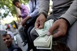 دولت عمداً قیمت دلار را بالا می‌برد / تنها ۵ درصد ارز دست مردم است