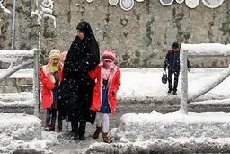 شایعه داغ سرما