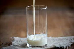 پروژه شیر مسموم چگونه کلید خورد؟