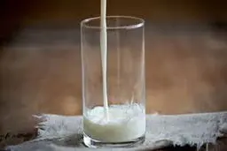 پروژه شیر مسموم چگونه کلید خورد؟