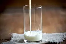 پروژه شیر مسموم چگونه کلید خورد؟