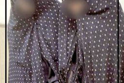 فرجام سرقت‌های ۲ دختر پسرنما