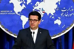 موسوی: رفتار غیر قانونی و غیرانسانی مرزبانی آمریکا نسبت به ایرانیان نقض فاحش حقوق بشر است