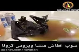 چطور «خفاش، موش، سوسک، سگ، قورباغه» وارد رژیم‌ غذایی چینی‌ها شد؟ / پای ژاپنی‌ها در میان است؟