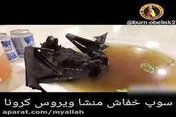 چطور «خفاش، موش، سوسک، سگ، قورباغه» وارد رژیم‌ غذایی چینی‌ها شد؟ / پای ژاپنی‌ها در میان است؟