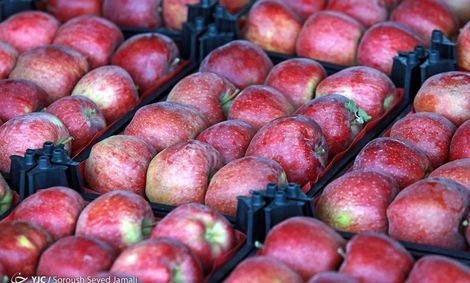 ۴۴ روز مانده به تحویل سال نو؛ نحوه عرضه میوه شب عید امسال اعلام شد / پای میوه‌های لوکس به هفت سین ۹۹ باز می‌شود!