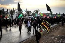 ۴۶ زائر ایرانی اربعین جان خود را از دست دادند