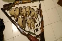 لغو صدور مجوز شکار برای خارجی‌ها