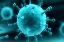 شیوع گسترده آنفلوآنزای فصلی در آمریکا با ده‌ها هزار قربانی