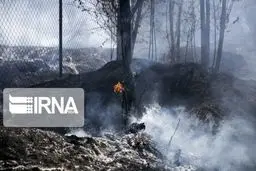 آتش سوزی حدود ۷۲ ساعته جنگل های گیلان مهار شد