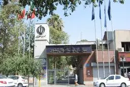 توضیحات ثبت احوال در مورد علت عجیب فوت جانباختگان مراسم تشییع حاج قاسم سلیمانی