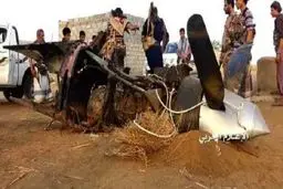 یک پهپاد جاسوسی ائتلاف متجاوز به یمن ساقط شد
