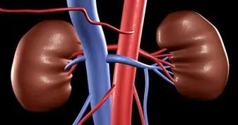 بیماری مزمن کلیوی عامل مرگ سالانه بیش از یک میلیون نفر در جهان