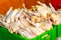 قیمت مرغ وارد کانال ۱۳ هزار تومان شد