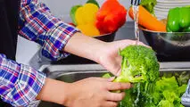 رژیم غذایی سرشار از این ماده مغز را ازآلزایمر دور می‌کند