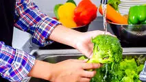 رژیم غذایی سرشار از این ماده مغز را ازآلزایمر دور می‌کند