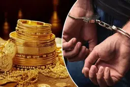 ماجرای سرقت ۱۵ میلیارد تومانی از خانه‌ای در تجریش چه بود؟