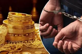 ماجرای سرقت ۱۵ میلیارد تومانی از خانه‌ای در تجریش چه بود؟