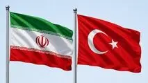 گزارش تصویری دیدار معاون رئیس جمهور ترکیه با رئیس جمهورپزشکیان