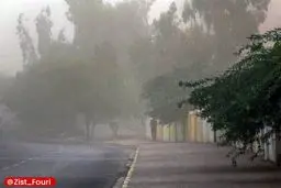 هشدار وزش باد شدید و رگبار در تهران