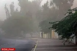 هشدار وزش باد شدید و رگبار در تهران