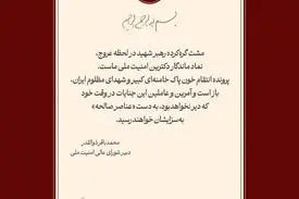 ذوالقدر: پرونده انتقام خون شهدای ایران همچنان باز است
