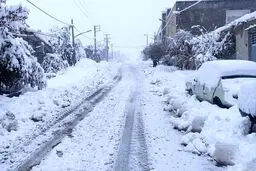 هشدار یخبندان برای این استان‌ها صادر شد