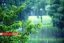 بارش باران در مناطقی از کشور