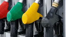 جزئیات جلسه امروز مجلس با پاکنژاد و سقاب اصفهانی /مخالف پیشنهادهای مطرح شده درباره افزایش قیمت بنزین هستم