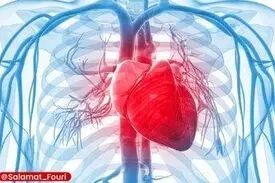  4عامل تهدیدکننده سلامت قلب /راهکار چیست؟